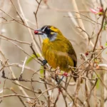 a27d24_371289c199dc49ffbd44e8e89ebba619~mv2