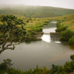 Horton plains national park, Sri Lanka